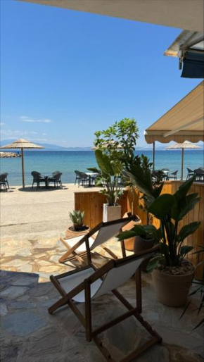 Casa Del Mar Thassos